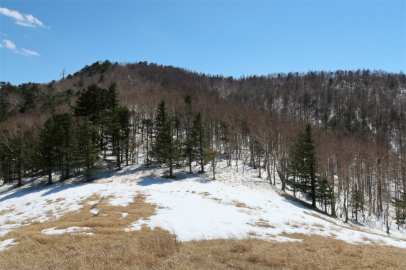 牛奥ノ雁ヶ腹摺山と川胡桃尻ノ頭のコルである賽ノ河原