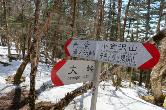 黒岳・大峠の分岐