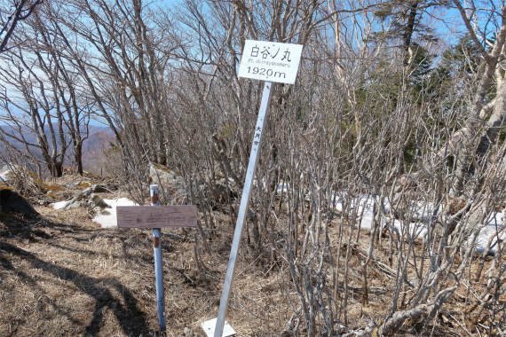 白谷ノ丸小金沢連嶺絶景スポット