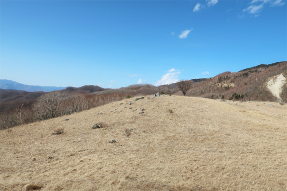 湯ノ沢峠のお花畑だだっ広い土地
