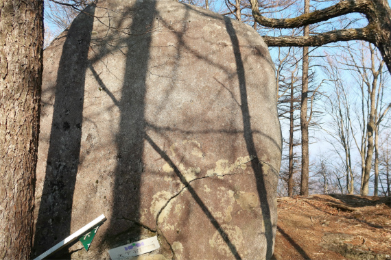 f:id:aohige0718:20190407112646j:plain