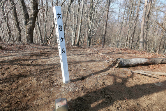 小金沢連嶺縦走大谷ヶ丸の山頂