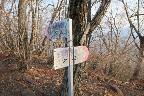 滝子山直下にある男坂・女坂の分岐