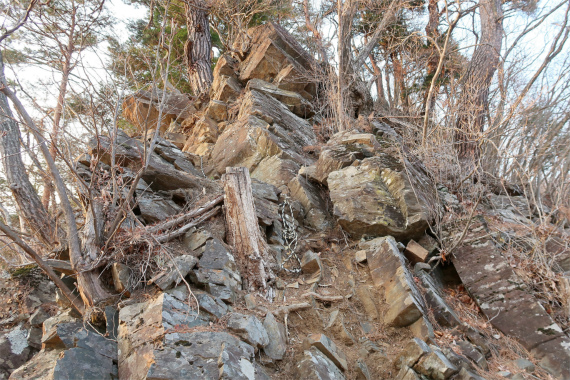 ヤンチャな時間登山道