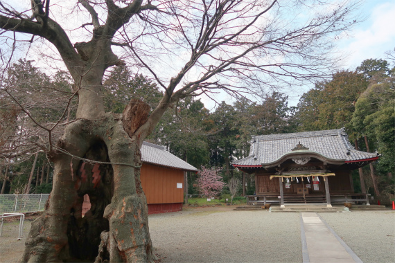 上粕屋神社全景