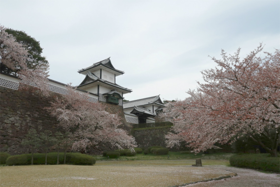 桜の木とお城