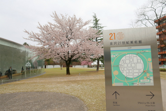 金沢２１世紀美術館に入館