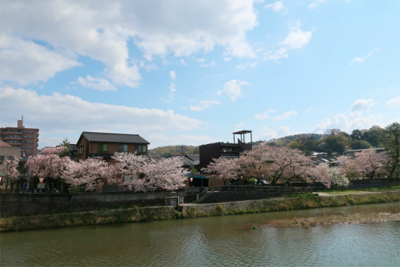 ひがし茶屋街の入口付近浅野川