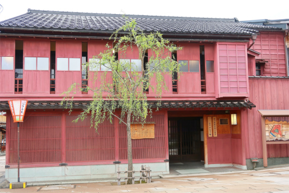 ひがし茶屋街柳のの木
