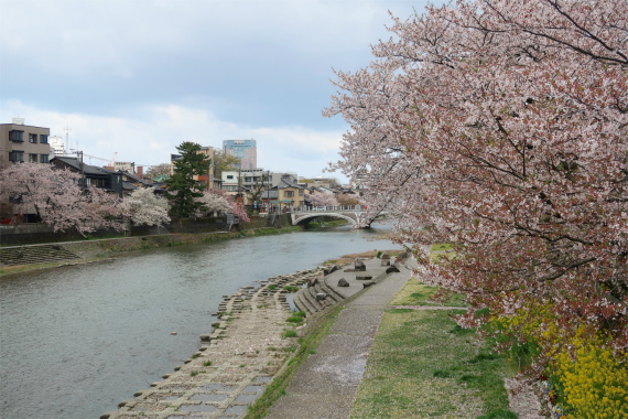 浅野川沿い遊歩道