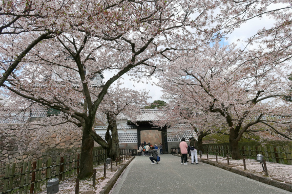 f:id:aohige0718:20190417224515j:plain 金沢城の見どころの1つ石川門
