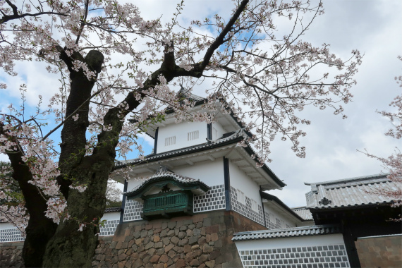 f:id:aohige0718:20190417224530j:plain 石垣と城壁金沢城の天守閣に見えてしまいます
