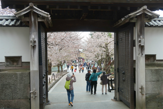 f:id:aohige0718:20190417225229j:plain 石川門から見た金沢の桜
