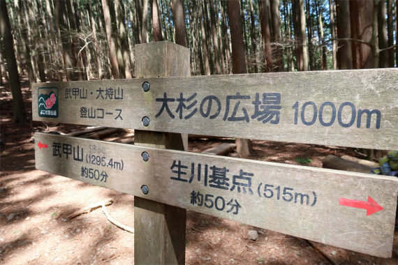 f:id:aohige0718:20190424220910j:plain 武甲山表参道大杉