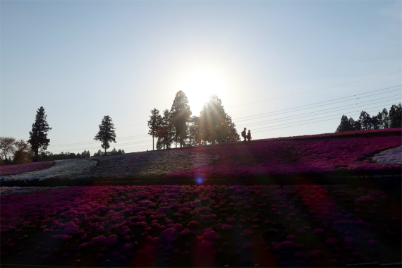 f:id:aohige0718:20190424221951j:plain 日本じゃないような景色