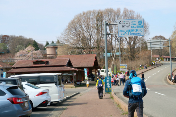 外秩父七峰縦走ハイキング大会の名物グルメの１つ牧場ソフトクリーム売り場