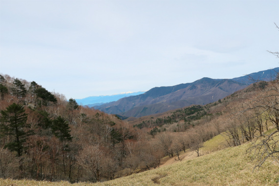 雁峠からの奥秩父の景色