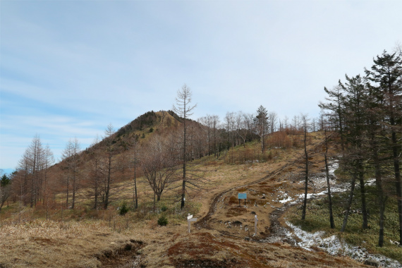 笠取小屋方面に進むと、左手(東）に笠取山