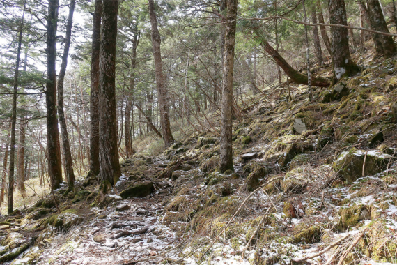 山ノ神土から西御殿岩を目指し