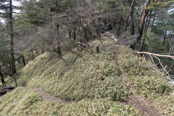 唐松尾山登山バリエーションルート