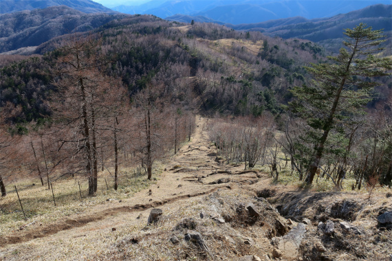 笠取小屋に戻り道