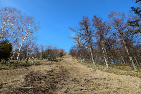 笠取山の急登