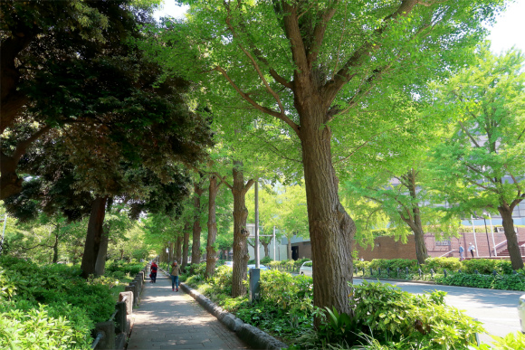 横浜ピザ店めぐり