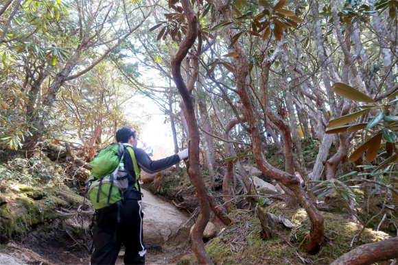 初めての瑞牆山の頂上