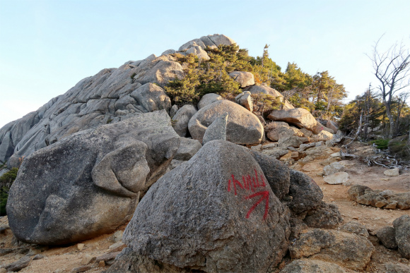 大日岩の上部