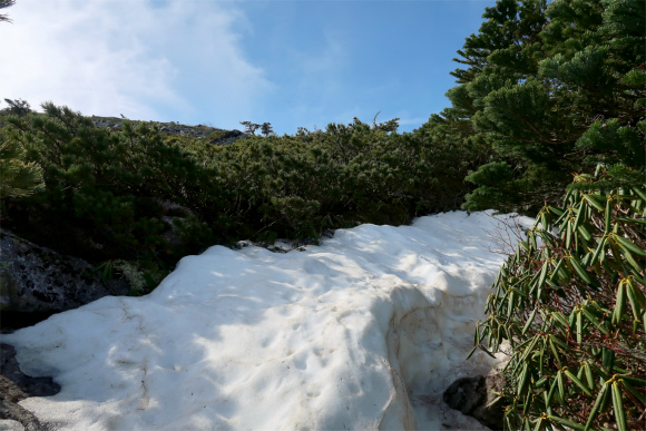 金峰山小屋残雪