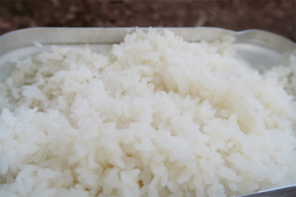 f:id:aohige0718:20190602151317j:plain お米少し硬め