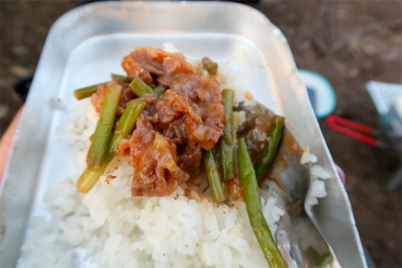 f:id:aohige0718:20190602151322j:plain 山ご飯焼肉