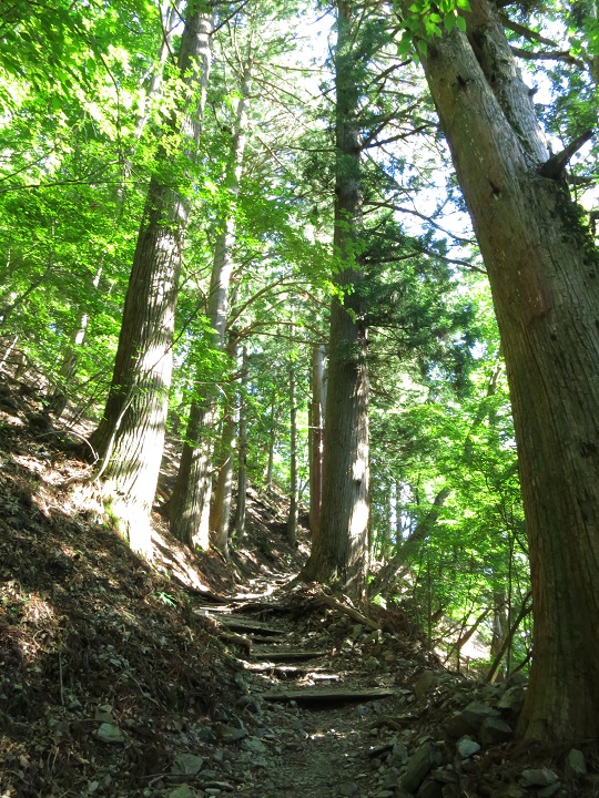 七面山敬慎院までのルート