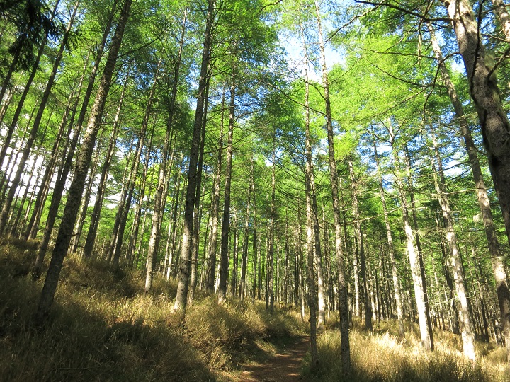 随身門から七面山の山頂へ