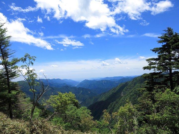八紘嶺の山頂から少し下って（山伏方面）最低コル