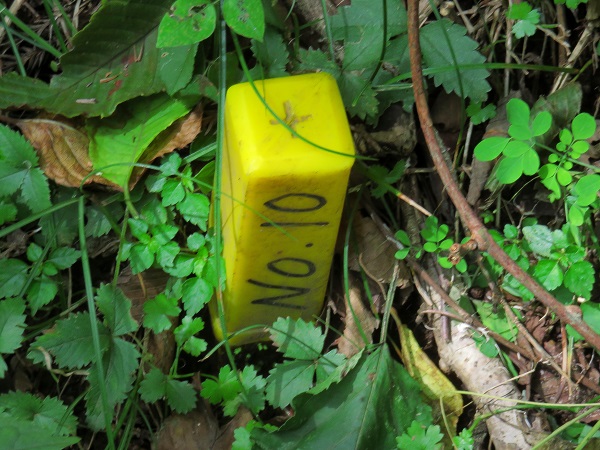 f:id:aohige0718:20190610150103j:plain 登山中によく見るマーキング