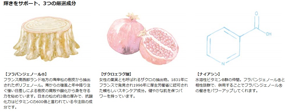 ホワイトポリフェノールCで使われている原材料の詳細