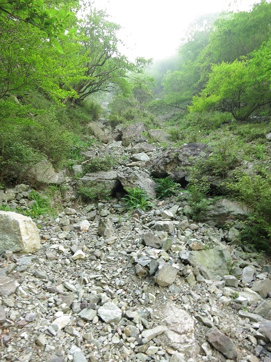 書策小屋上流へ詰めるとガレ場