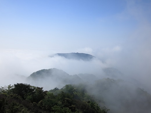 書策新道景色