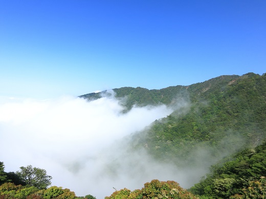 大倉尾根は雲の中