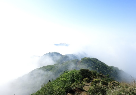 烏尾山表尾根