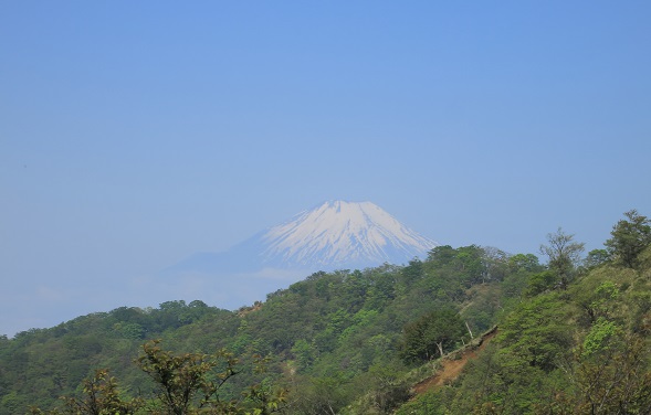 丹沢表尾根富士山