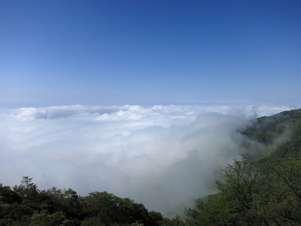 雲海