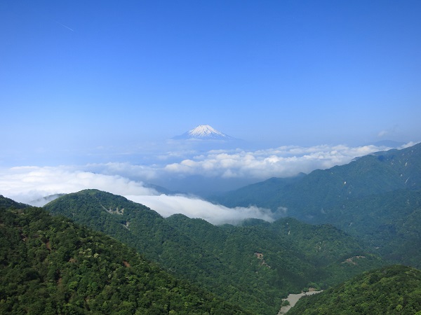 f:id:aohige0718:20190702135935j:plain 塔ノ岳から見る富士山