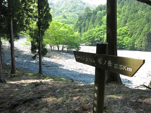 f:id:aohige0718:20190702135954j:plain 尊仏ノ土平道標
