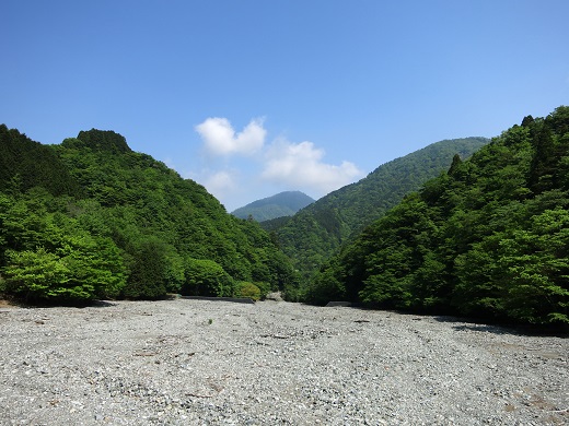 f:id:aohige0718:20190702135957j:plain 尊仏ノ土平からの蛭ヶ岳の景色