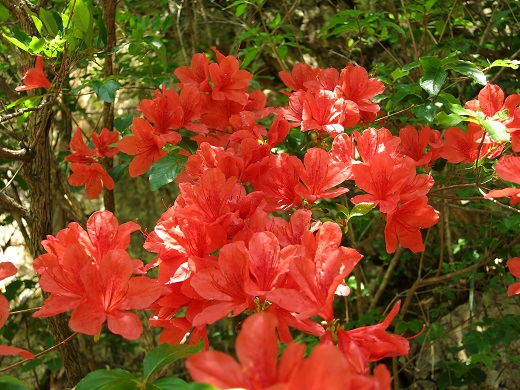 f:id:aohige0718:20190702140005j:plain f:id:aohige0718:20190702140005j:plain