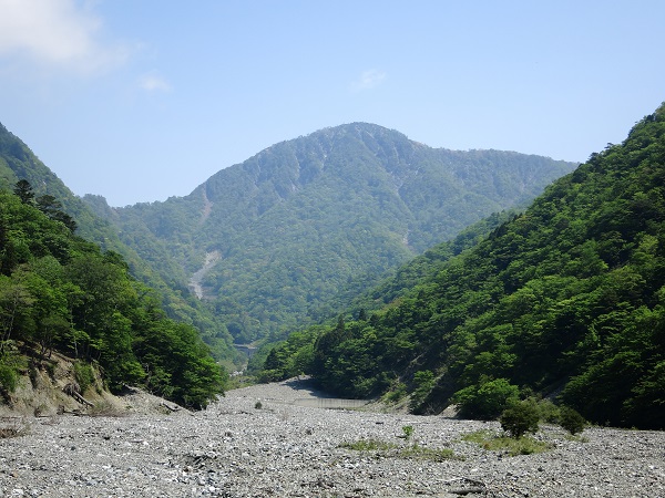 f:id:aohige0718:20190702140018j:plain 蛭ヶ岳南稜尾根