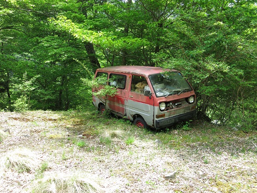 f:id:aohige0718:20190702140021j:plain 蛭ヶ岳南稜尾根廃車