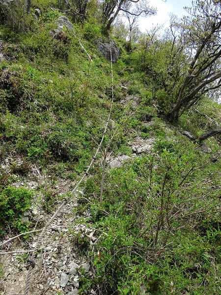 f:id:aohige0718:20190702140041j:plain 蛭ヶ岳南稜登山コース